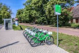 Rower miejski w gminie Dobra. Czy Bike_S jest popularny? 