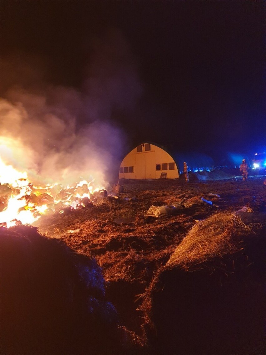 Duży pożar w Koźlątkowie. Palił się wielki stóg słomy. ZDJĘCIA