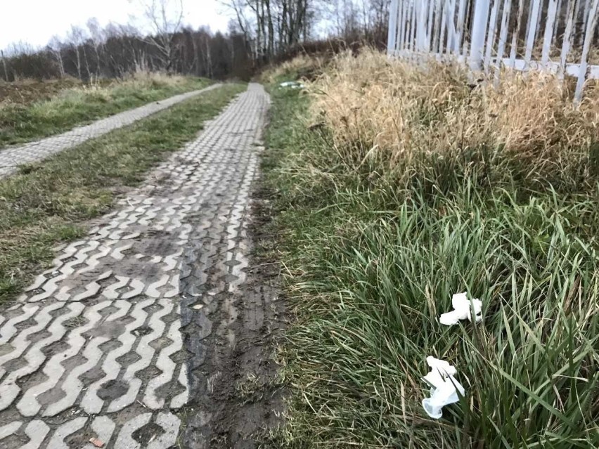 Z drogi asfaltowej do wieży prowadzi utwardzona droga