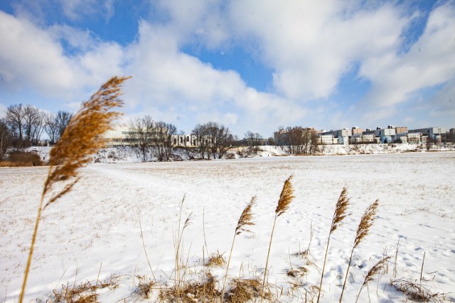 Łąki Nowohuckie zimą to równie piękny widok, co latem, czy wiosną. Zwłaszcza przy słonecznej pogodzie