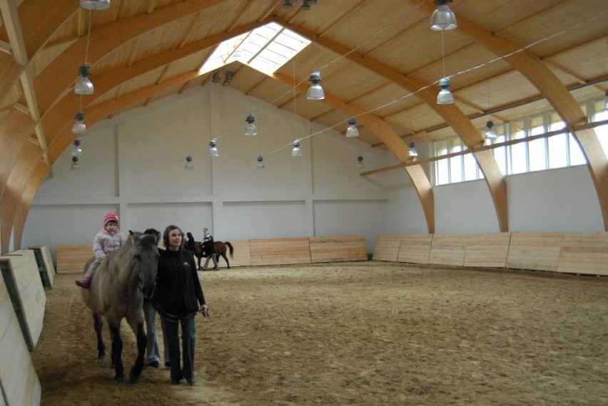 GOSiR przejmuje Ośrodek Hipoterapii i Edukacji Ekologicznej w Gdyni. Fundacja AnimalPro zrezygnowała