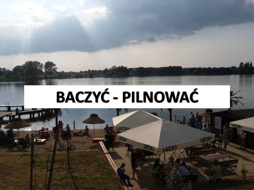 Tak się mówi w Wąbrzeźnie i powiecie wąbrzeskim. Tych słów używali nie tylko nasi dziadkowie, my także. Napisz pracę konkursową o gwarze