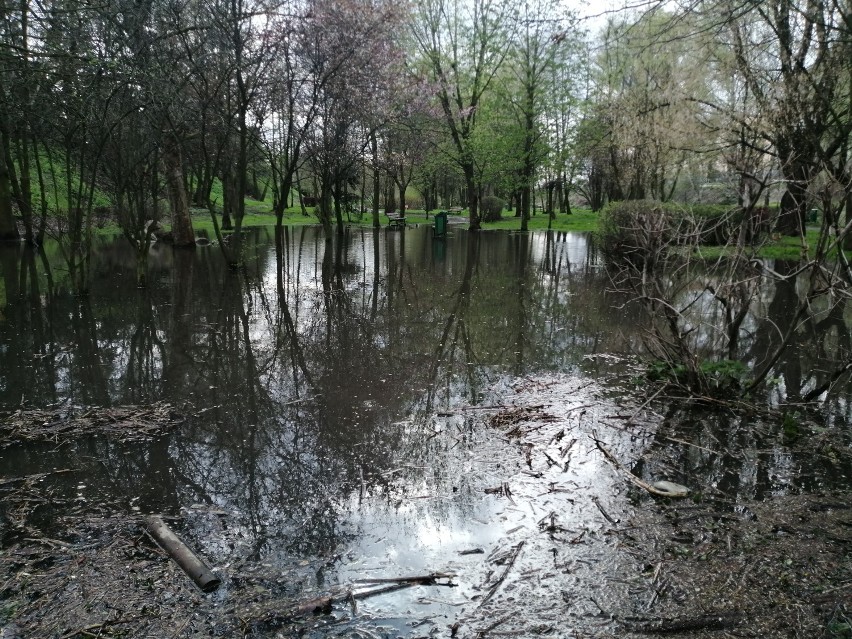 Park nad Krępicą w Kaliszu. Zieleniec jest zalewany i...