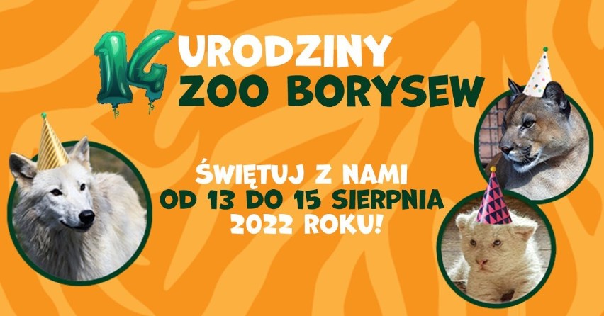 14. urodziny Zoo Borysew w długi weekend 13-15 sierpnia. Będzie wiele atrakcji, w tym nocne zwiedzanie ZDJĘCIA, PLAKATY