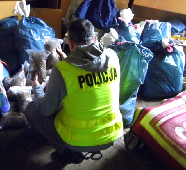 Bydgoszcz: Policjanci zabezpieczyli ponad 130 kg nielegalnego tytoniu [ZDJĘCIA]