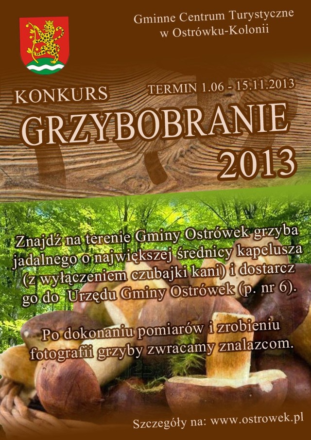 Gminne Centrum Turystyczne w Ostrówku ogłosiło konkurs dla grzybiarzy "Grzybobranie 2013".