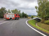 Bus wjechał do rowu. Strażacy przystąpili do akcji (ZDJĘCIA)