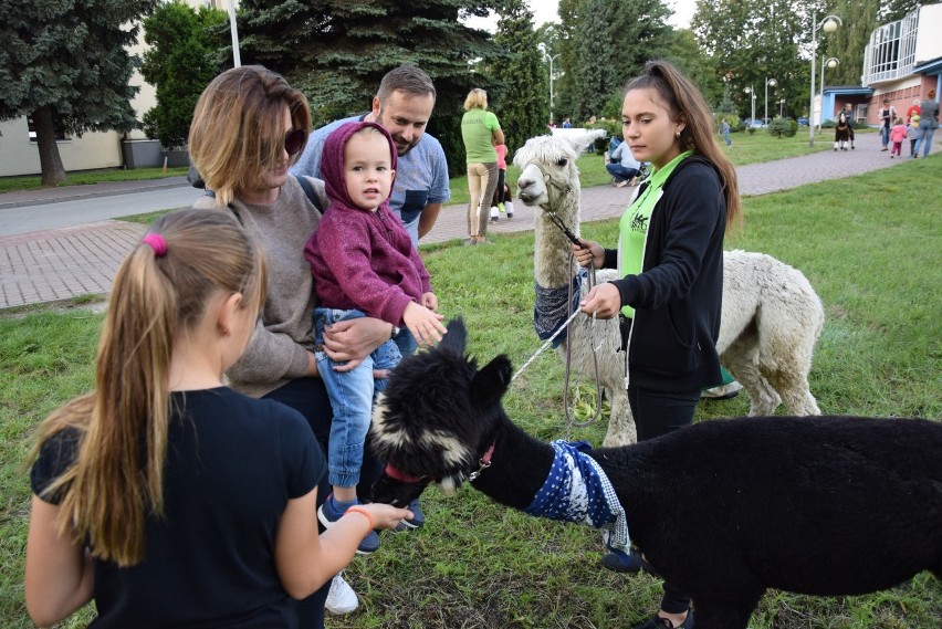 Piknik rodzinny z okazji 20-lecia Powiatowego Centrum Pomocy Rodzinie