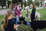 Piknik rodzinny z okazji 20-lecia Powiatowego Centrum Pomocy Rodzinie