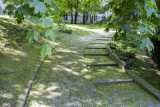 Park Dolina Szwajcarska wpisany do rejestru zabytków. Urocze i zapomniane miejsce w sercu Warszawy