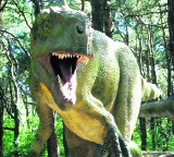 Wystawa dinozaurów w Chojnicach. Czy dzięki odyseuszom będzie to możliwe?