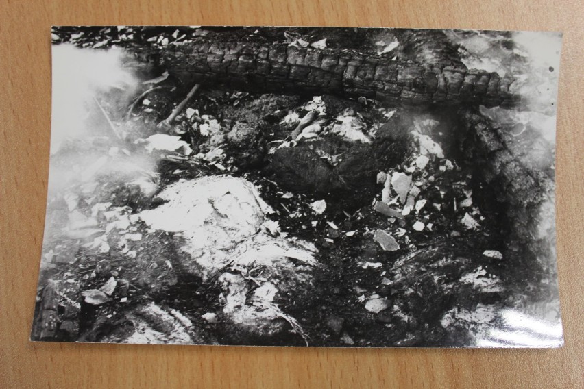 Wielki pożar chlewni w Sierznie z 1987 roku. Spaliły się 340 sztuki trzody chlewnej (FOTO)