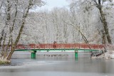 Poznań żąda śniegu na święta. Poznański Ruch Obywatelski pisze petycję