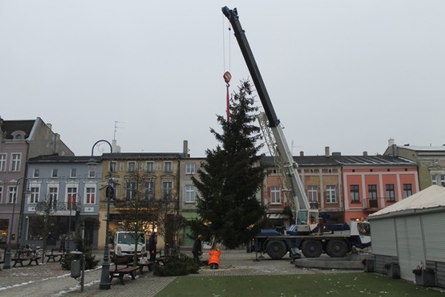 Świąteczne drzewko stanęło na placu Jana Pawła II w Wąbrzeźnie.