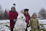 Zima w Śremie: śnieg cieszy dzieci. Wszystko wskazuje na to, że jeszcze w tym roku uda się pójść na sanki i ulepić bałwany