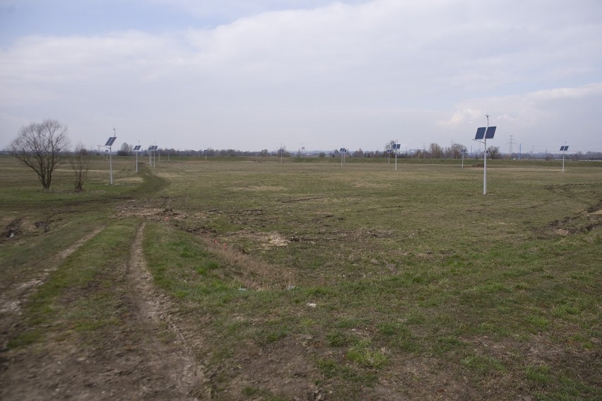 Brzegi - miejsce głównych uroczystości podczas ŚDM.