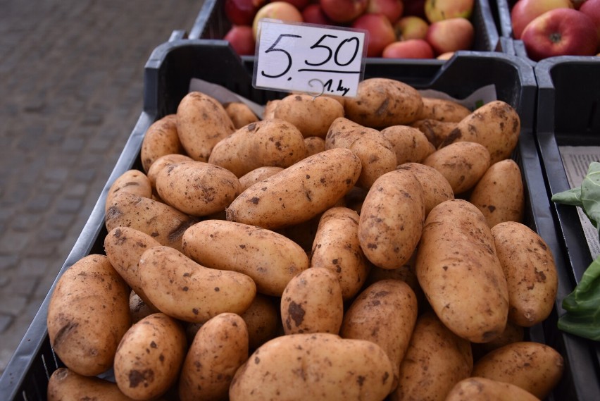 Ceny młodych ziemniaków zaczynają się od ok. 5 zł