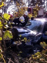 Wypadek w gminie Gizałki. Wypadł z drogi i uderzył w drzewo