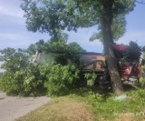 Gmina Gomunice. Wypadek w Wąglinie. Tir wjechał w przydrożne drzewo