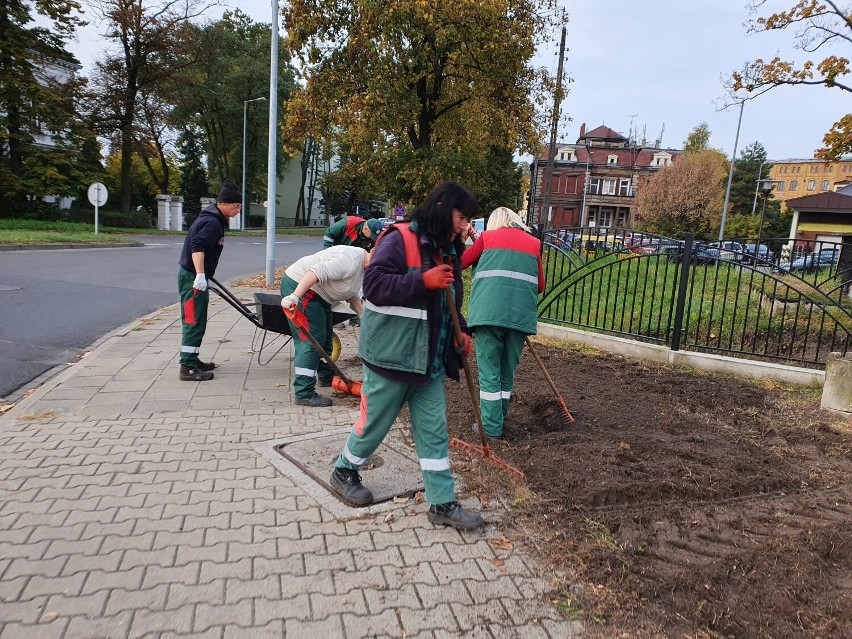 Prace na skwerze pod szybowcem w Lesznie 20 października 2021