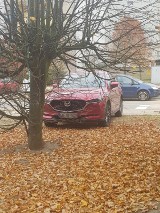 Chamskie parkowanie w Stargardzie nr 148. Mazda na niemieckich tablicach rejestracyjnych rozjeżdża trawnik na osiedlu Pyrzyckim