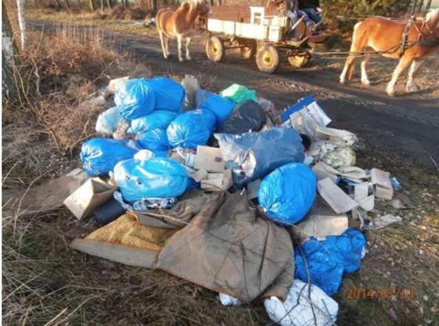 Na początku stycznia mieszkaniec gminy Mosina porzucił śmieci pod Orkowem. Straż ukarała go mandatem.