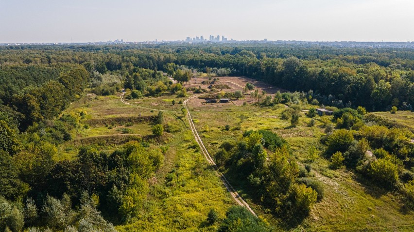 Osiedle Covidowe w środku rezerwatu przyrody. Deweloper przekracza wszystkie granice. Ministerstwo: "To niedopuszczalne"