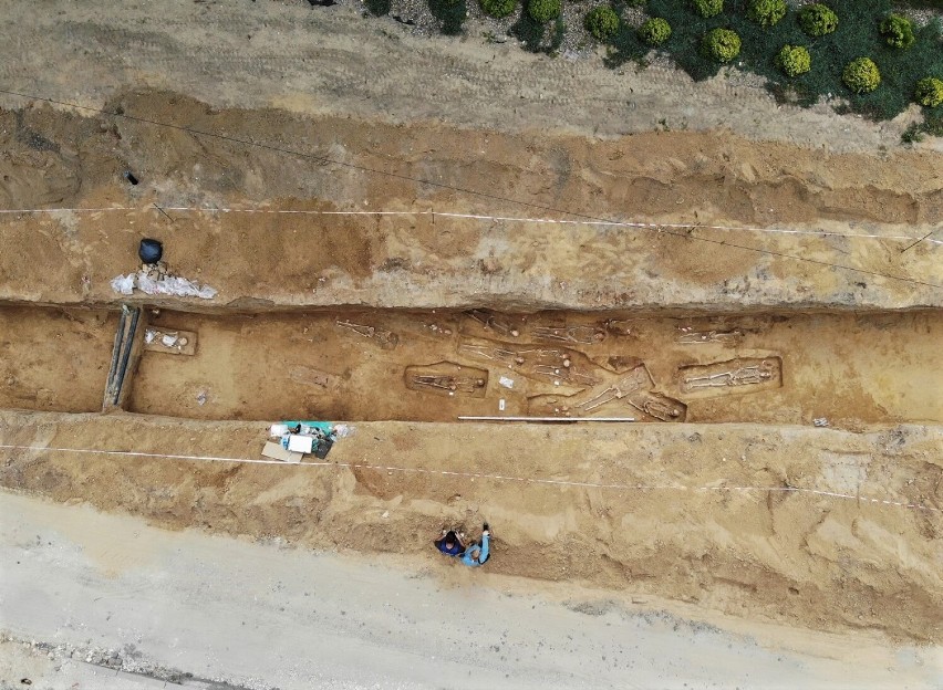Pod drogą w Działoszynie archeolodzy odsłonili cmentarz przykościelny sprzed wieków 