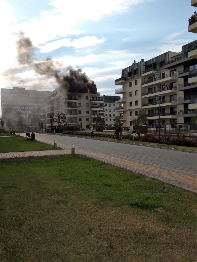 Jak udało nam się dowiedzieć, prawdopodobną przyczyną pożaru, który wybuchł  w czwartek 28 czerwca, na balkonie jednego z mieszkań na osiedlu Paryskim było zwarcie instalacji elektrycznej. Informacje o rzekomo rozpalonym na balkonie grillu są nieprawdziwe (w mieszkaniu nikogo nie było w chwili wybuchu pożaru) - taką informację otrzymaliśmy z KWP Bydgoszcz.

Na miejscu pojawiły się cztery zastępy straży pożarnej. Strażacy dostali się drabiną na balkon i przystąpili do gaszenia. Było sporo ognia. Dym widoczny był z wielu kilometrów. 

