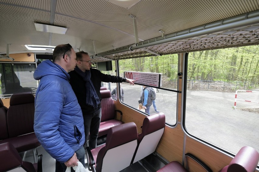 Historyczne autobusy Ikarus, DAF i "ogórek" wróciły na ulice Poznania. Sprawdź trasy i rozkłady linii turystycznych