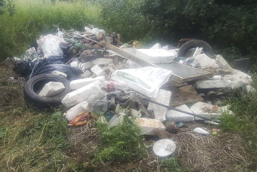 Wyrzucił śmieci nad brzegiem Swędrni w Kaliszu [FOTO]