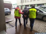 Narkotykowe zatrzymania w Ostrowcu. Policjanci przejęli susz i proszek