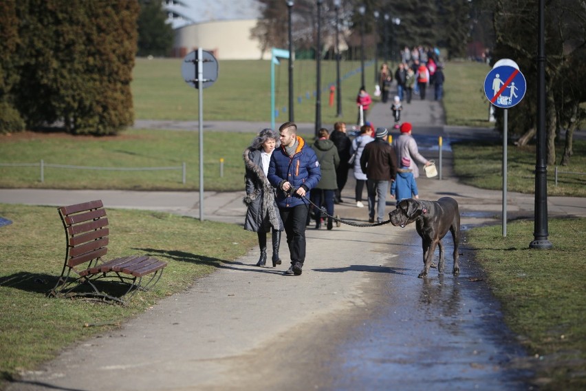 Na niedzielnym spacerze w Parku Śląskim