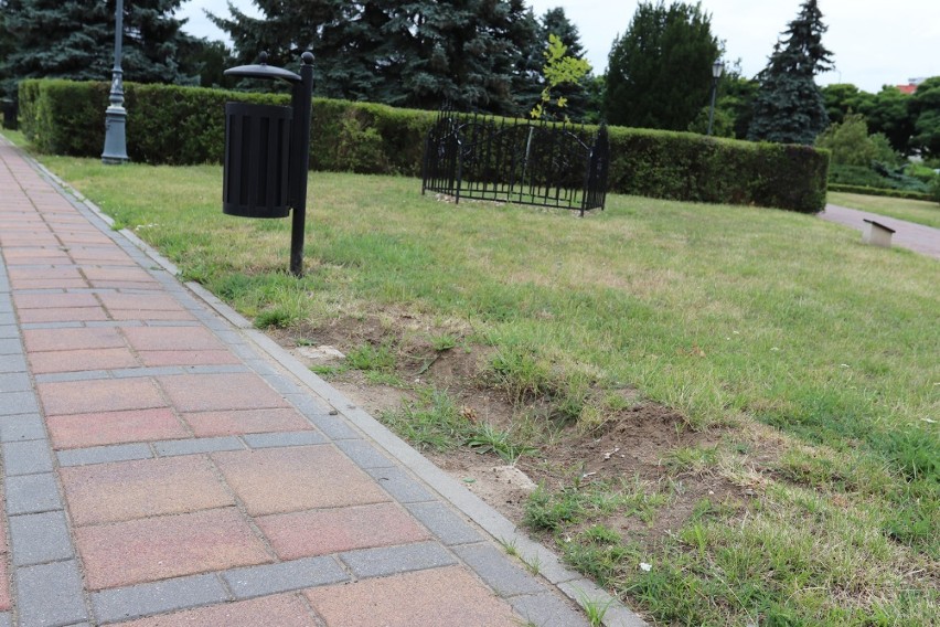 Głogów: Gdzie się podziały ławki ze skweru przy Pomniku Dzieci Głogowskich? 