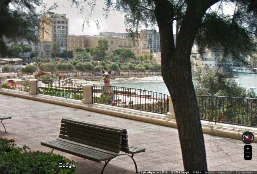 Niech nie zdziwi was widok kotów na Malcie – sprowadzone na...