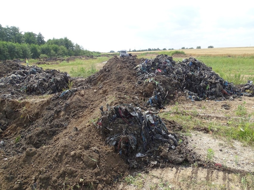 Do akcji policji i inspektorów z WZPŚ włączyły się także...