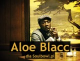 Aloe Blacc: Nie martwię się o bycie oryginalnym