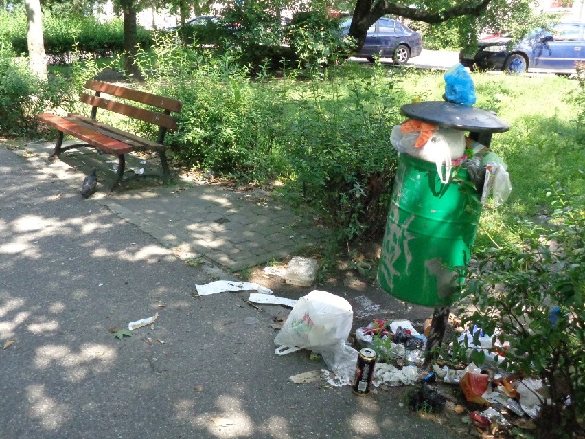 Planty miejskie w Kaliszu. Zieleniec tonie w śmieciach