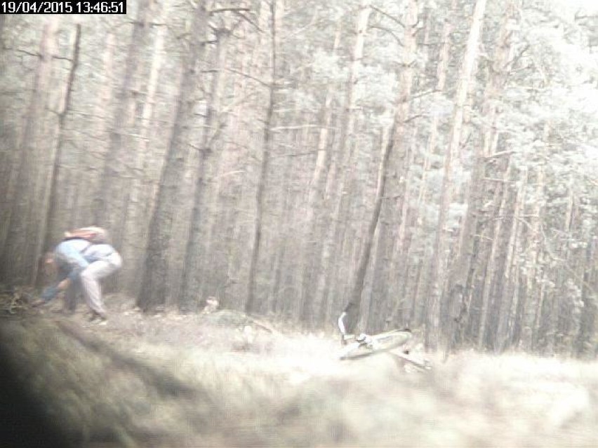 Chciał podpalić las. Zarejestrowała go kamera... [wideo, zdjęcia]