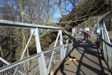 W niedzielę drzewo spadło na most w Żaganiu! Konstrukcja grozi zawaleniem!  Nie ma przejścia między centrum, a starostwem! 