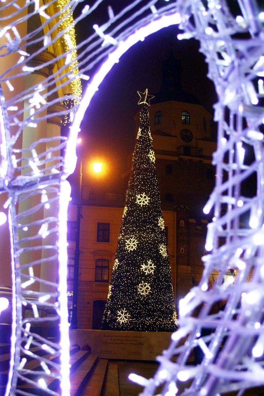 Święta w Lublinie: Choinka stanęła przed ratuszem (ZDJĘCIA, WIDEO)