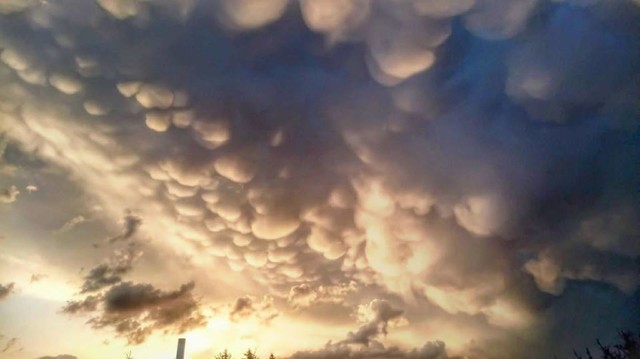 Chmury burzowe nad Międzychodem - Mammatus (10.04.2018).

Prognoza pogody na środę, 11 kwietnia

źródło: vivi24/x-news.pl.