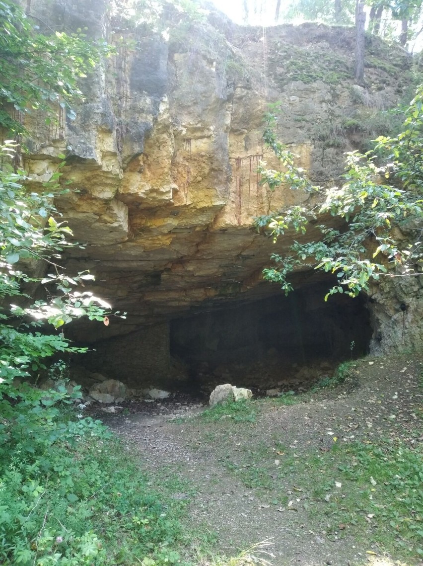 Jaskinia Szachownica - dom nietoperzy w Załęczańskim Parku Krajobrazowym nadal niepokojony przez turystów