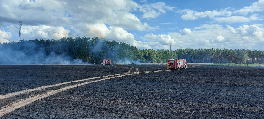 Pożar zboża w Chrząstowie. Spłonęło kilka hektarów i baloty...