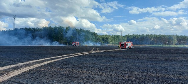 Pożar zboża w Chrząstowie. Spłonęło kilka hektarów i baloty słomy. Ogień podszedł pod las