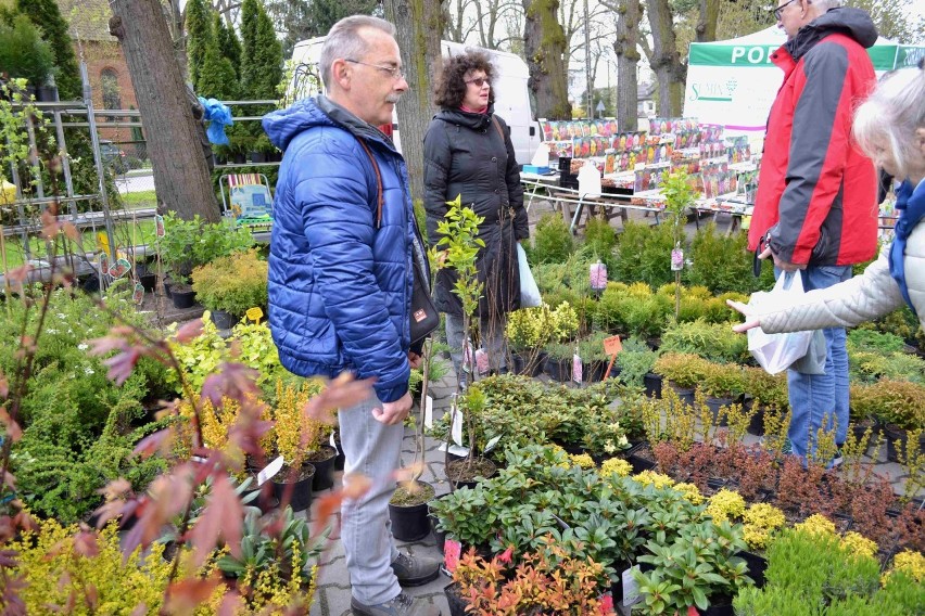 Wiosenne Targi Ogrodnicze w Starym Polu [ZDJĘCIA]. Kapryśna aura nie odstraszyła wystawców i gości