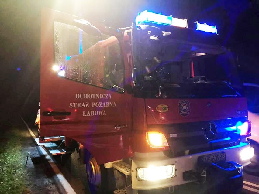 Wypadek na DK 75 w Maciejowej. Zderzenie opla z jeleniem. Auto rozbite, a zwierzę zabite