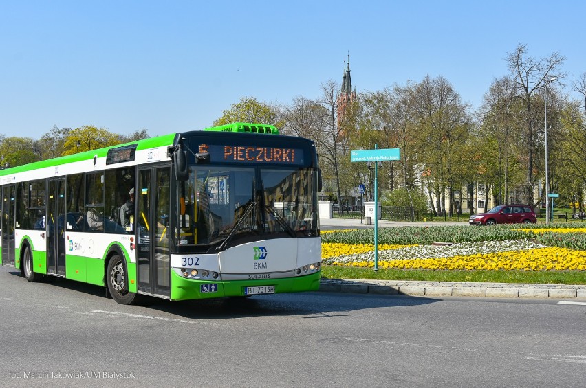  Białystok. Dzień bez Samochodu 2019. Za darmo komunikacją miejską