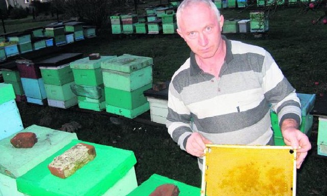 Mogę walczyć z chorobami pszczół, ale nie z sądem. Czuję się bezsilny - mówi Jan Mrozek z Siedlisk.