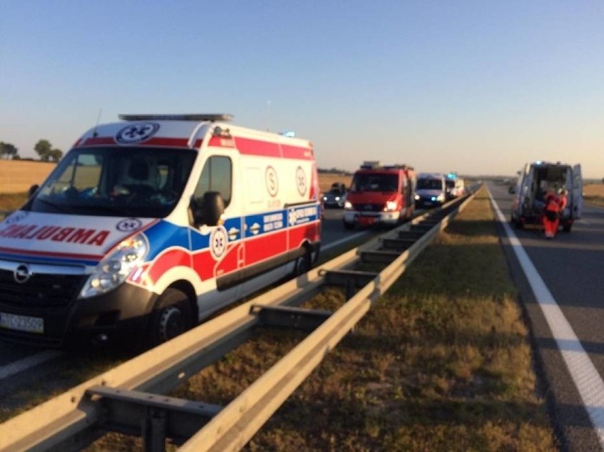 Wypadek autokaru z Żabnicy koło Tczewa: Okropne przeżycie, jestem cała poobijana, na środkach przeciwbólowych - mówi uczestniczka wypadku